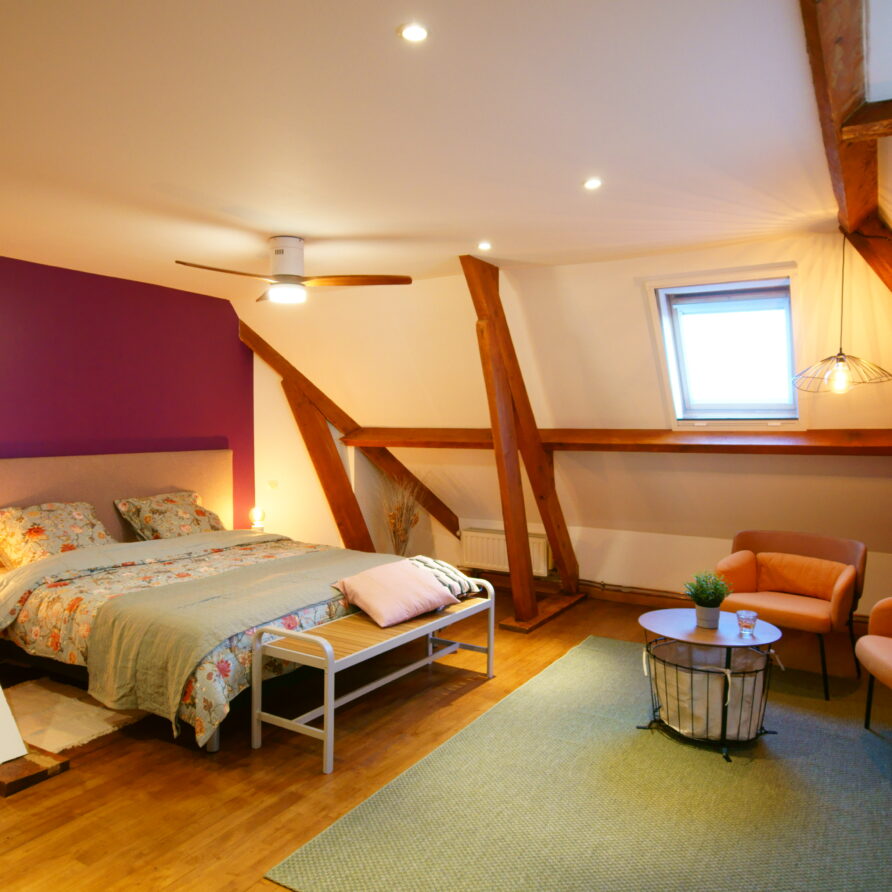 Chambres-dHotes-La-Bonne-Voie-Confort-Room-Bed-and-Seats