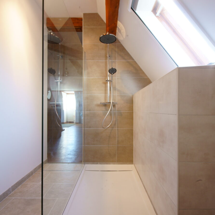 Chambres-dHotes-La-Bonne-Voie-Confort-Room-Shower-Portret