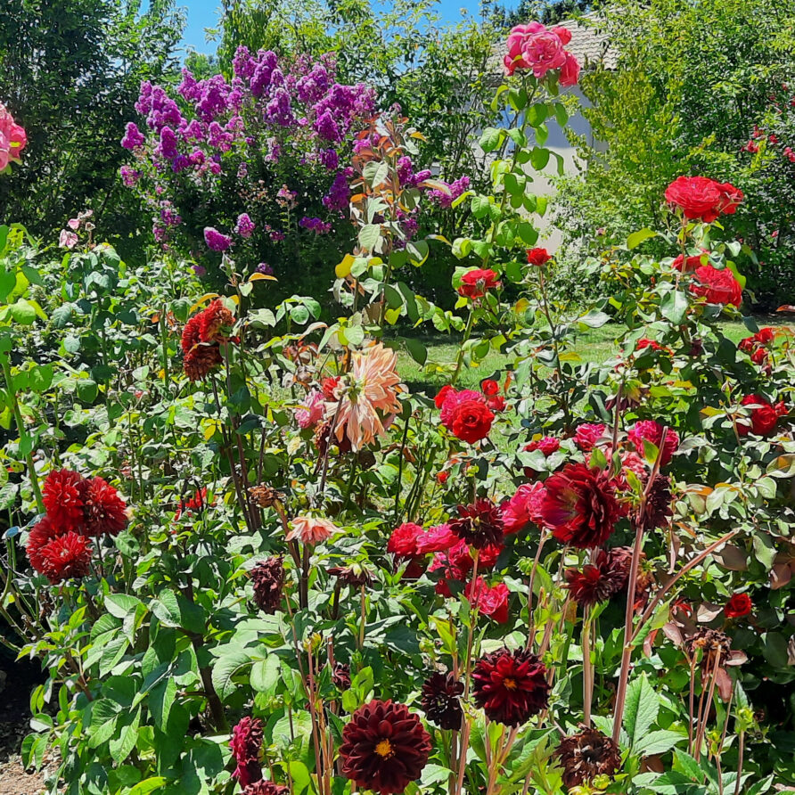 Chambres-dHotes-La-Bonne-Voie-Garden-Flowers-in-Summer